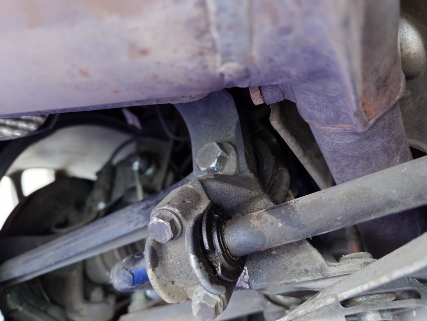 20240613_110542 (1).JPG