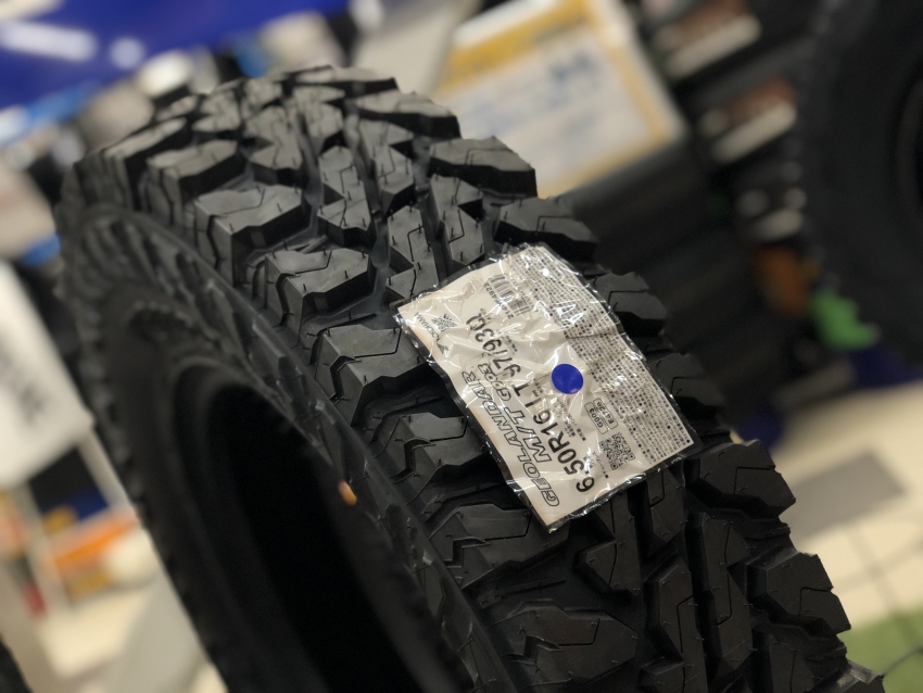 image_6487327 (3).JPG