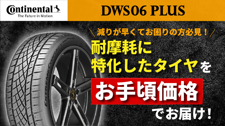 DWS06 PLUS