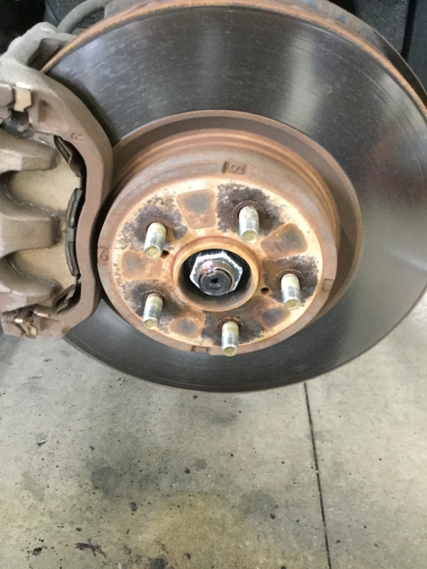 gogogogogogotututuiisghrihauoheprguihuiagrpi532 (1).JPG